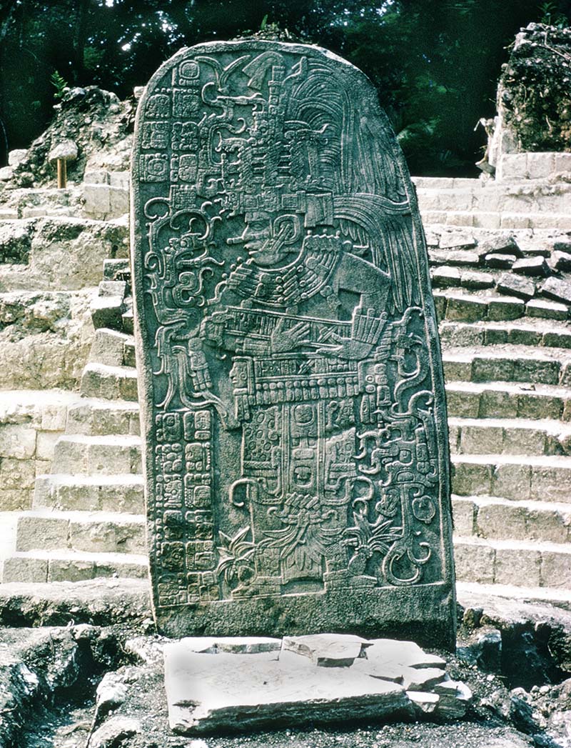 Stela10Ceibal