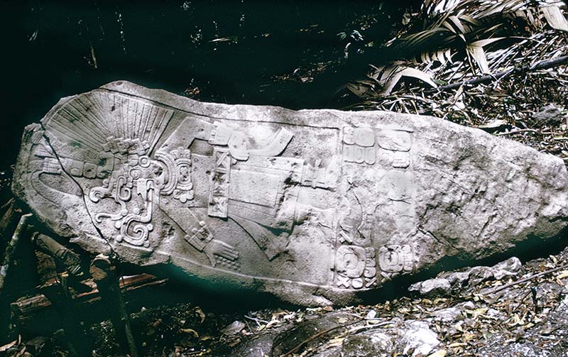 Stela19Ceibal