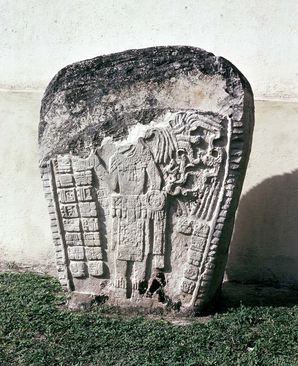 Stela1Jimbal