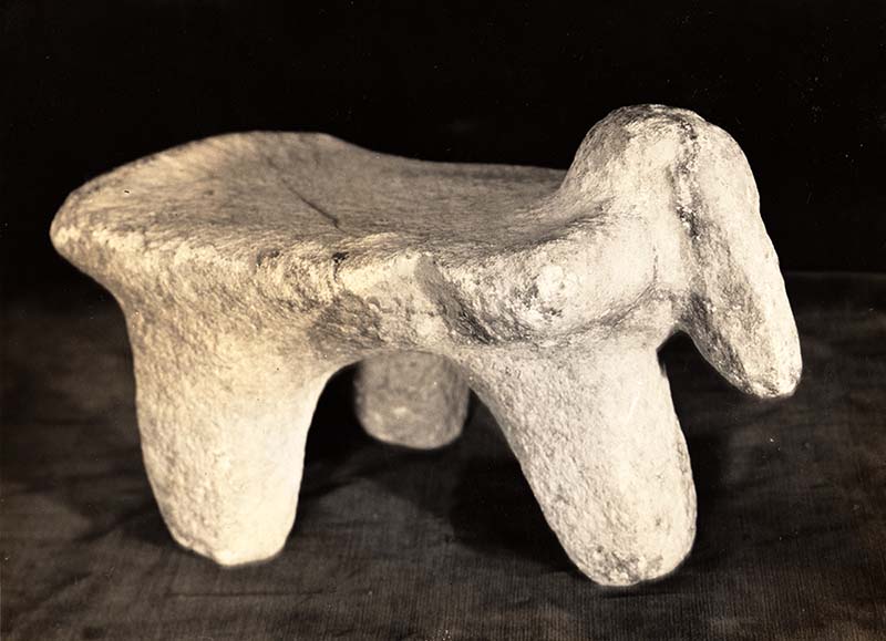PayaStoneMetate