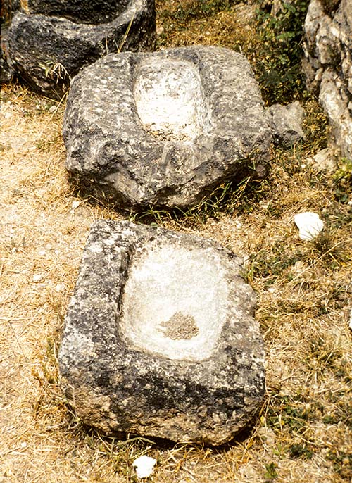 MetatesfromStructure384
