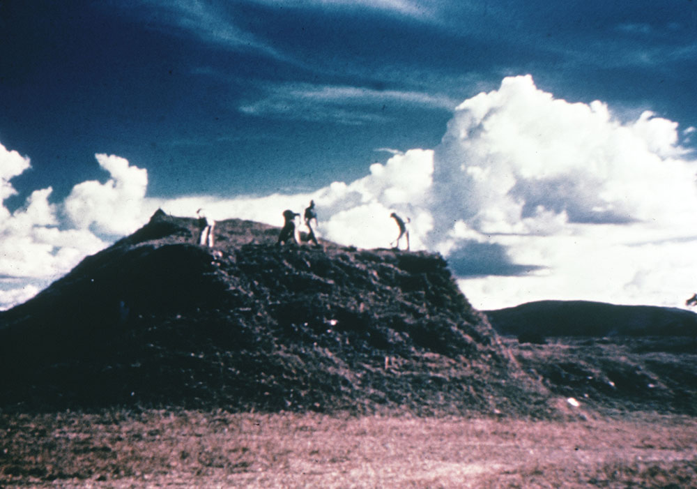 ArchaeologistsbeginexcavationofStructure4