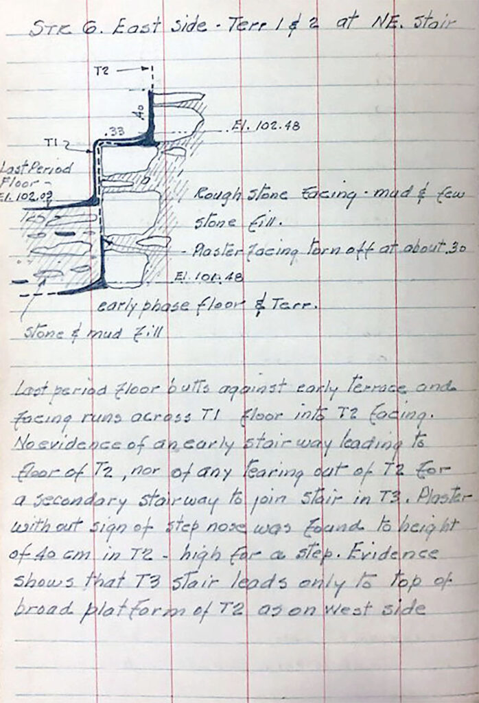Field Journal 3 Structure 6