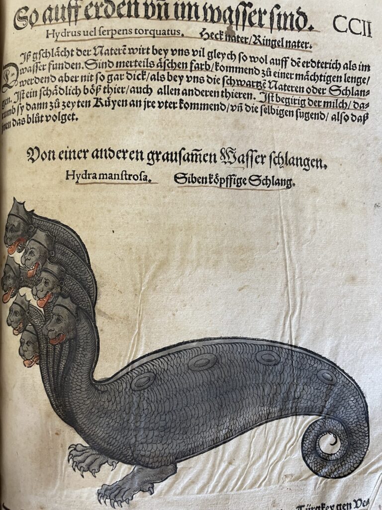 Image of a seven-headed hydra from Gessner's Fischbuch