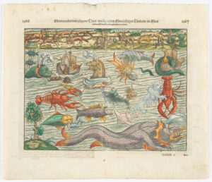 Hand-coloured woodcut showing various sea-monsters, taken from the sixth book of the 1550 German edition of Sebastian Münster's 'Cosmographia'.