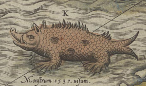 An illustration of a "sea pig" from a 1539 map