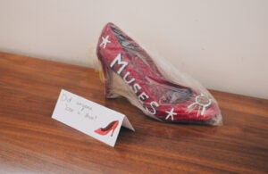Photograph of a Muses shoe